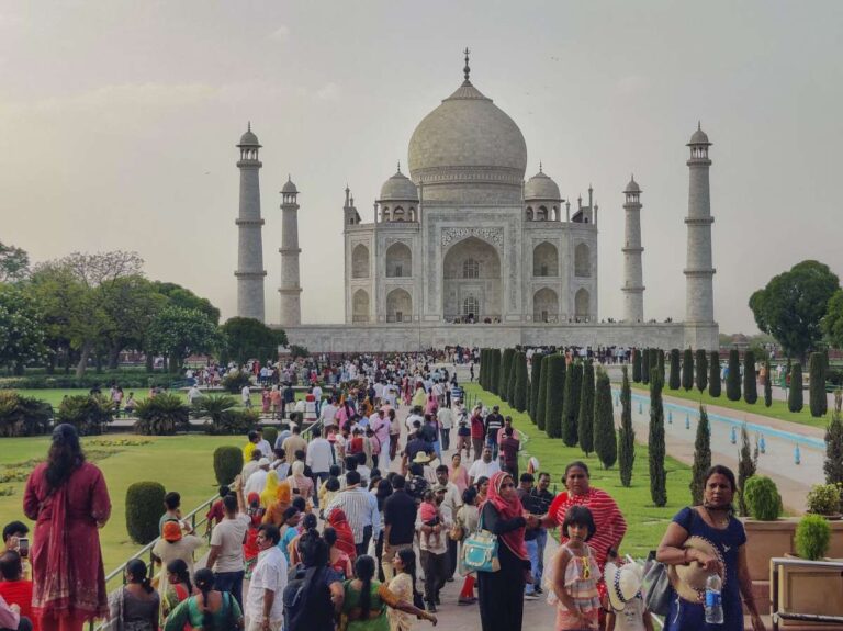 ताजमहल के रखरखाव में लापरवाही से मुख्य गुंबद पर पौधे उगने से चिंता बढ़ी