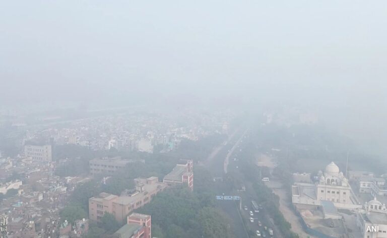 How GRAP-4 Anti-Pollution Curbs May Impact Major Projects In Delhi