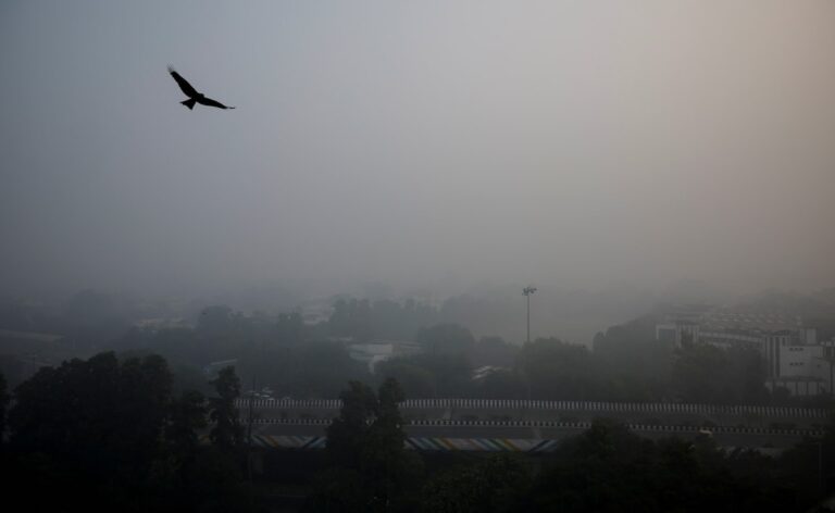 Delhi Wakes Up To Season