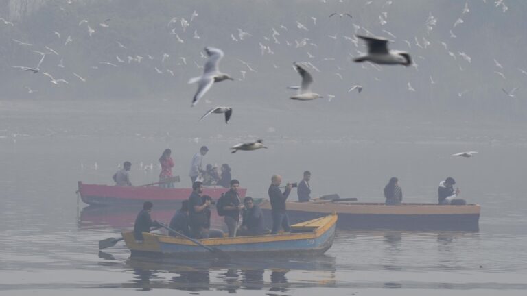 दिल्ली में वायु प्रदूषण की स्थिति बदतर: AQI सीजन के सबसे खराब स्तर 481 पर पहुंचा, GRAP-IV प्रतिबंध लगाए गए