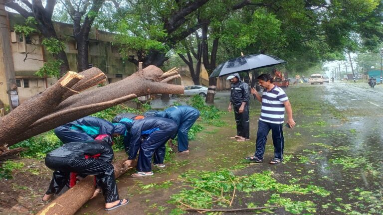 आईएमडी ने तमिलनाडु में भारी बारिश का अलर्ट जारी किया, इस राज्य के लिए रेड अलर्ट | विवरण