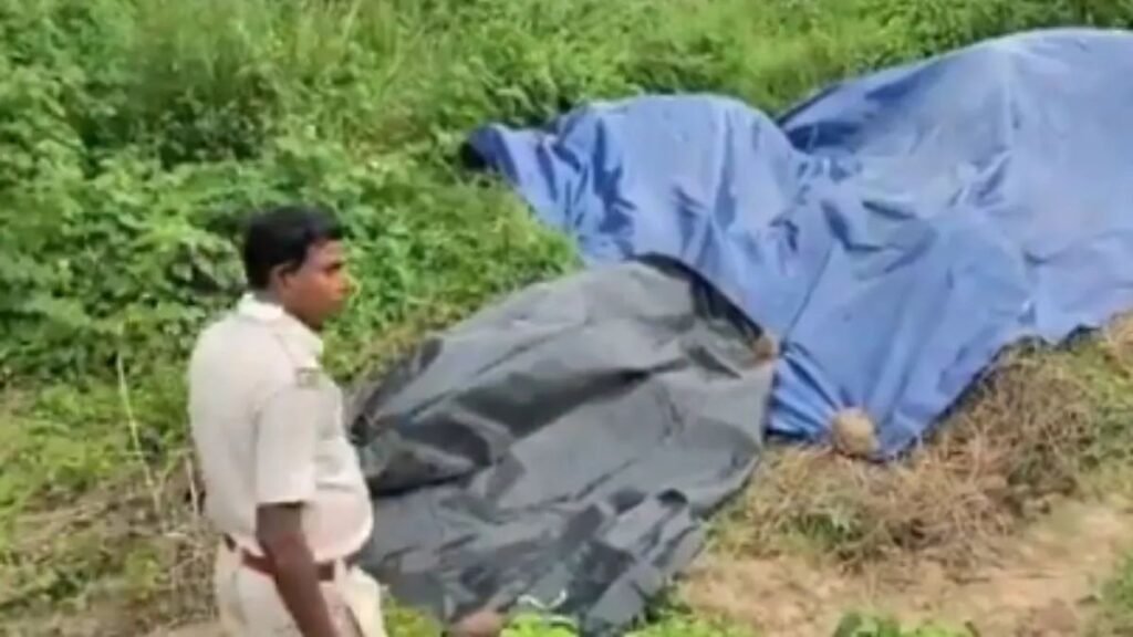 15 वर्षीय ओडिशा लड़की, बदमाशों से आग लगा दी, मर जाती है